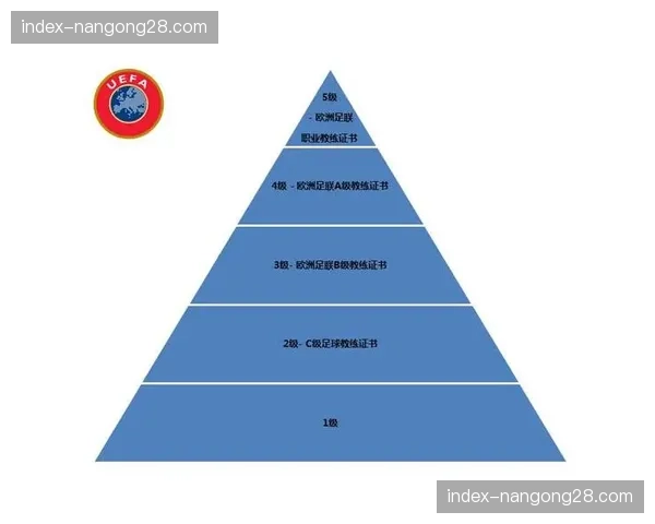 欧足联设立足球奖学金，资助发展中国家青少年赴欧留学