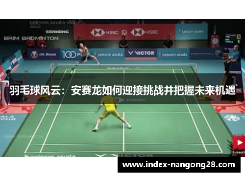 羽毛球风云：安赛龙如何迎接挑战并把握未来机遇