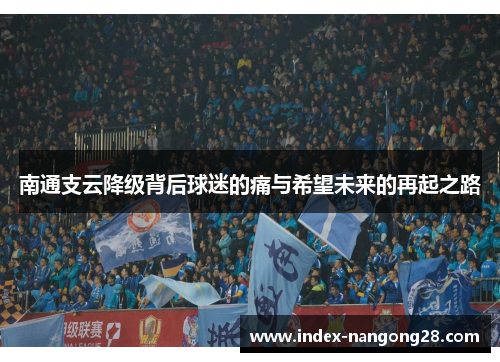 南通支云降级背后球迷的痛与希望未来的再起之路