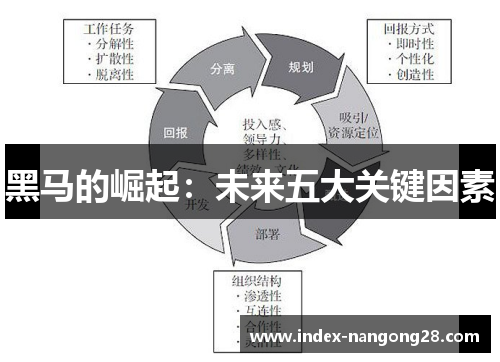 黑马的崛起：未来五大关键因素