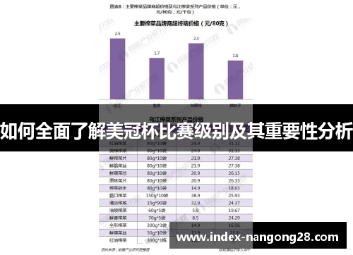 如何全面了解美冠杯比赛级别及其重要性分析