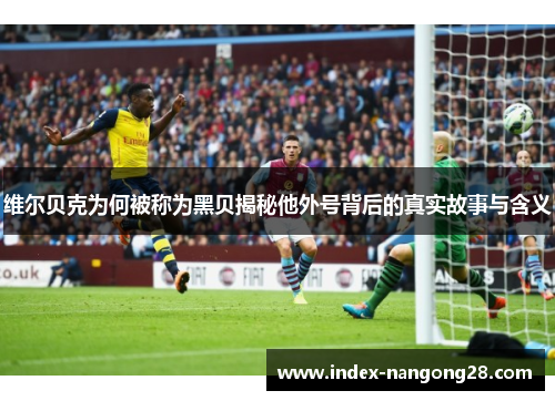 维尔贝克为何被称为黑贝揭秘他外号背后的真实故事与含义